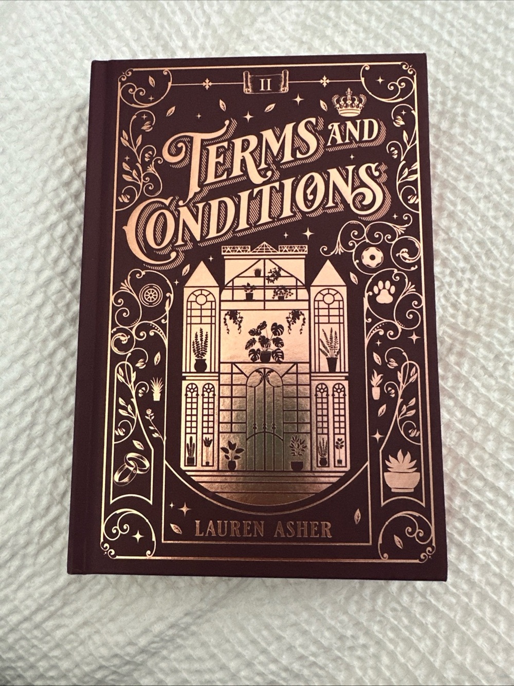 Terms and Conditions by Laura Asher Hardcover Collectors Edition NEW